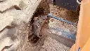 770 EX MAGNUM (32).webp