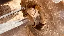 770 EX MAGNUM (1).webp