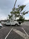 Ford F350Xl_7.webp