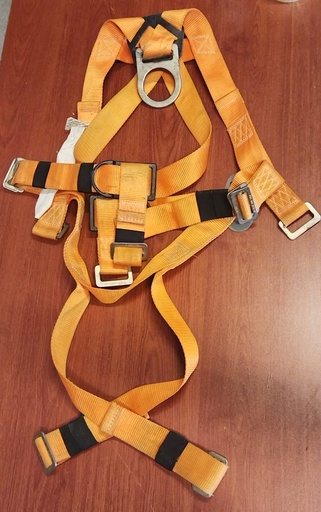 ARNES DE SEGURIDAD 1 ANILLO (USADO)
